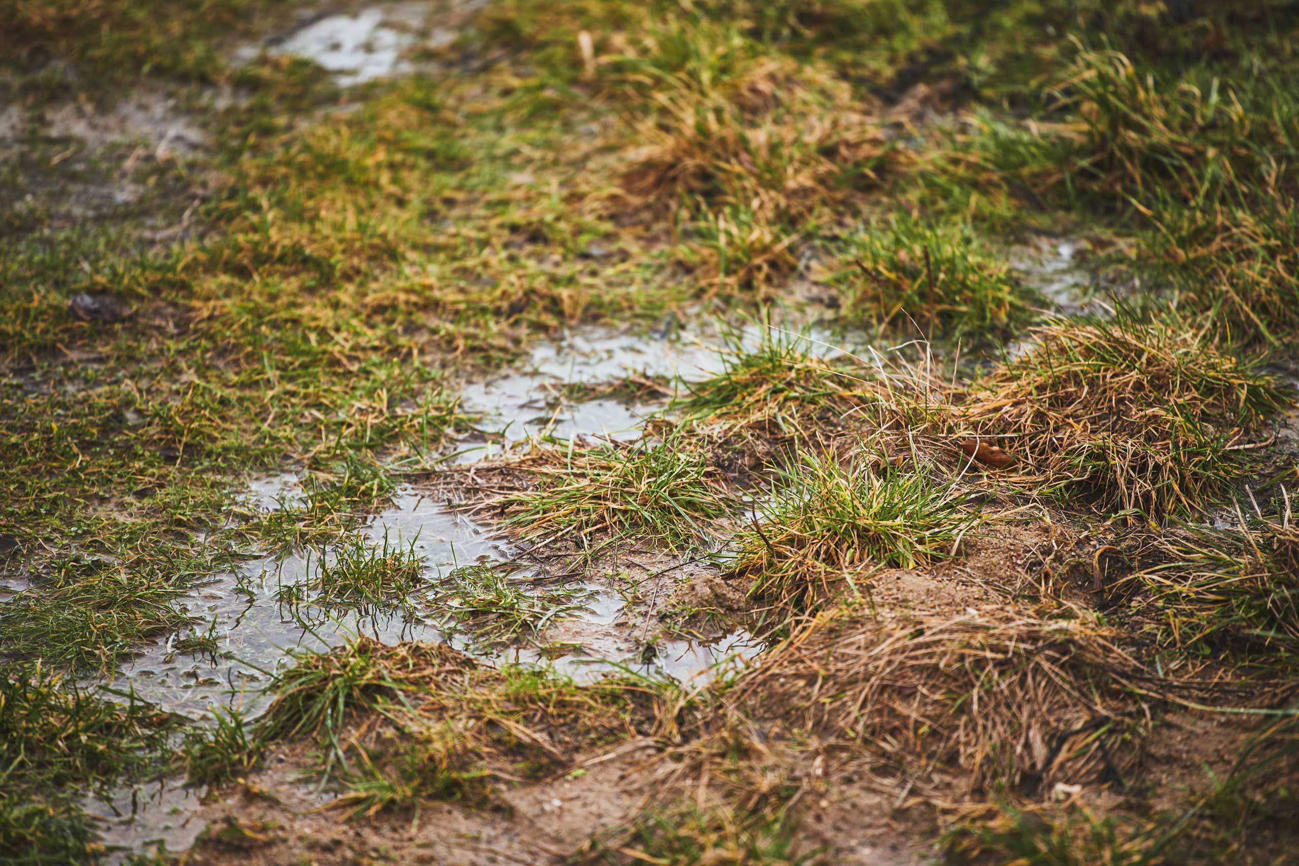 wet-yard