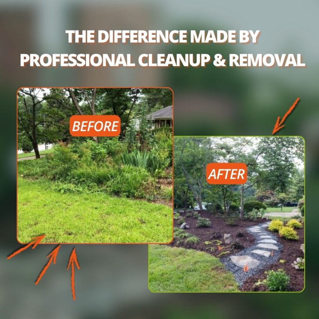 professional overgrowth and yard debris difference
